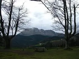 Maialde *